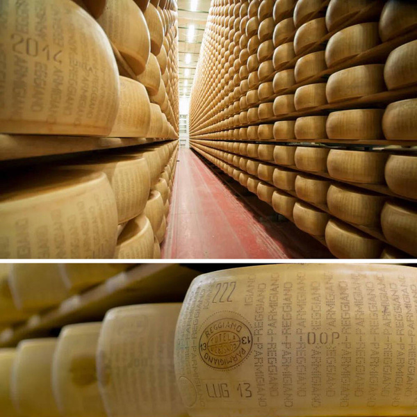 Ser Parmezan PARMIGIANO REGGIANO DOP BIO Santa Rita TARTY 60G